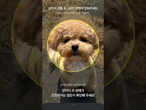 시각장애인 대신 커피 주문해주는 강아지 #시트콤 thumbnail