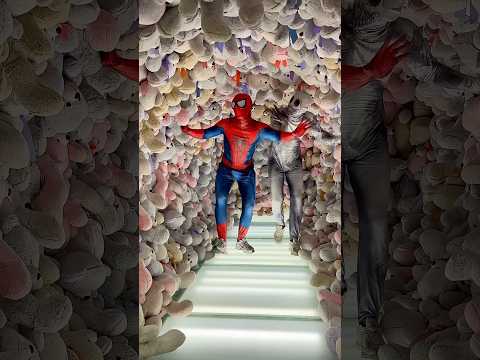 Spiderman🤣 #spiderman thumbnail