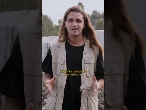 Aquí TODOS son VÍCTIMAS... thumbnail