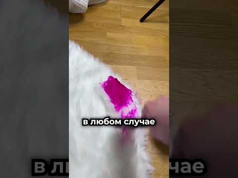 Он специально испортил белый ковёр 😳 thumbnail
