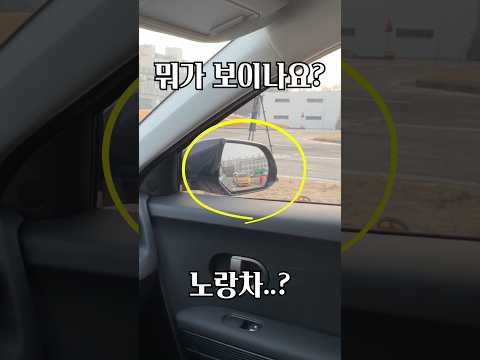사이드미러의 이중성 thumbnail