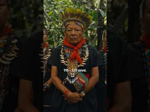 Perché gli indigeni vivono fino a 120 anni? #shorts #progettohappiness #indigenous #documentary thumbnail