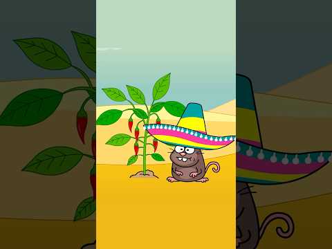 Seid ihr bereit für das Sommertier? #kinderlieder #mitmachlied #sommerlied #lustigelieder thumbnail