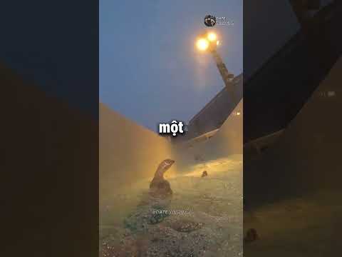 MÁNG TRƯỢT NƯỚC ẤM THƯ GIÃN CỦA ĐAN MẠCH 😳 | Date With Gym thumbnail