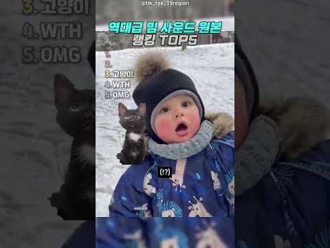 역대급 밈 사운드 원본 thumbnail