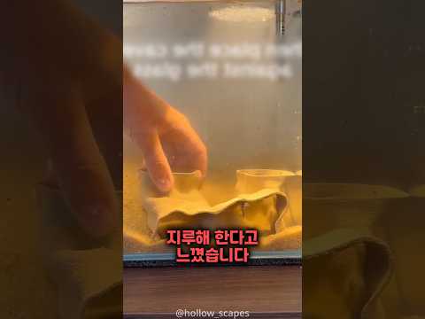 소년은 물고기를 위한 비밀 장소를 만들었다 thumbnail
