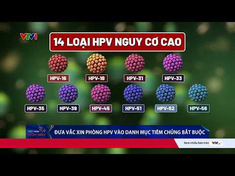 Vắc xin HPV được đưa vào danh mục tiêm chủng bắt buộc từ 01/7/2026 | VTV24 thumbnail
