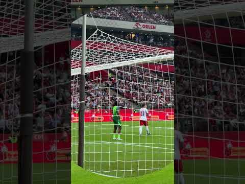 PIERWSZA BRAMKA DLA NIGERII W MECZU NA NARODOWYM #SHORTS thumbnail