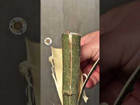 This is so handy and satisfying to watch thumbnail
