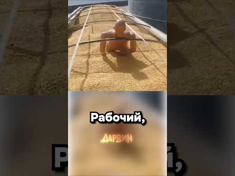 Опасная работа thumbnail