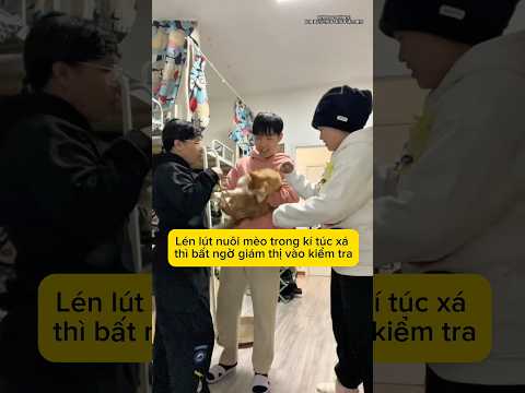 Lén lút nuôi mèo trong Kí Túc Xá.#haihuoc #giaitri thumbnail