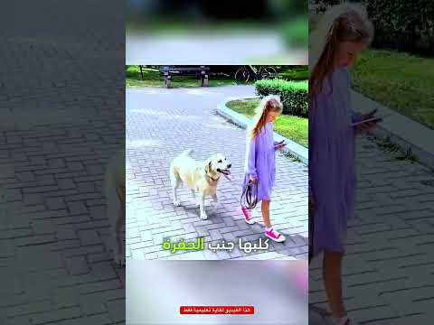 بنت صغيرة وكلبها أنقذوا#shorts thumbnail