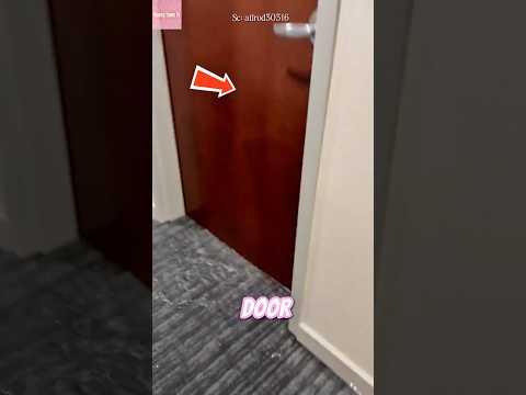 Banjir Misterius di Kamar Hotel! thumbnail