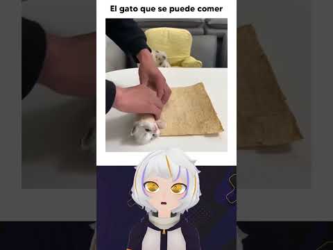 Gato que se Puede Comer thumbnail