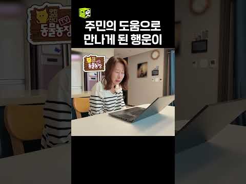 집에 도착하고도 12시간만에 가족상봉...😥 #달리 #DALI #TV동물농장 #shorts thumbnail