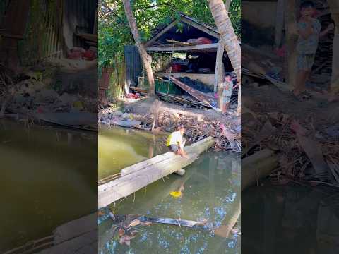 Ngộ đi cầu khỉ/kỳ kỳ tv & Family #shortvideo thumbnail