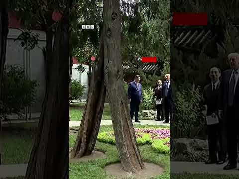 جولة نادرة لترامب في الحديقة السرية في الصين thumbnail