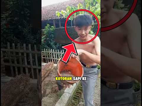 Tetangganya Berani Melempar Kotoran Kambing ,Pemuda Ini Membalas Dengan Kotoran Sapi thumbnail