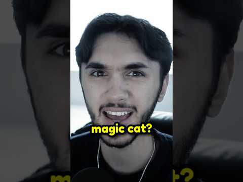 This cat does chip hacks... #shorts #shortsfeed #youtubeshorts #cringe #lifehack #comedy #funny thumbnail
