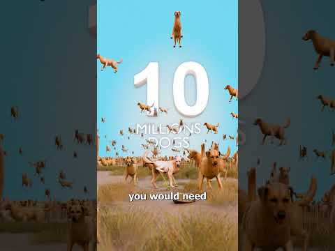 Can Dogs Pee Out A Wildfire ? thumbnail