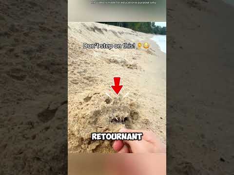 Ne faites jamais cette erreur à la plage ! 😱 thumbnail