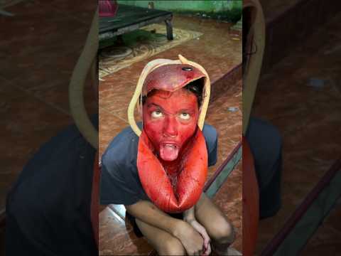 GARA GARA MARSHMALLOW DEWA ULAR #shorts #lucu #art #trending thumbnail
