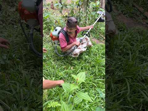 Bersihkan rumput tercepat thumbnail