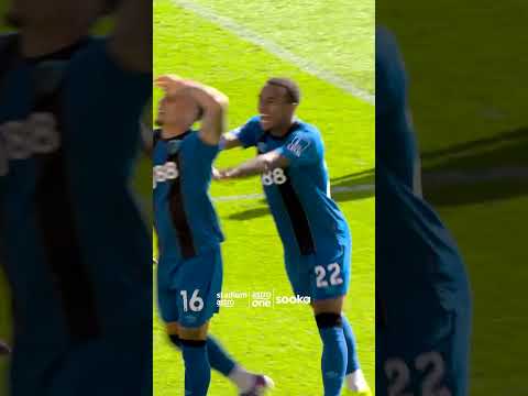 Marcus Tavernier keeps Bournemouth's Champions League hopes alive with a great equalizer! thumbnail