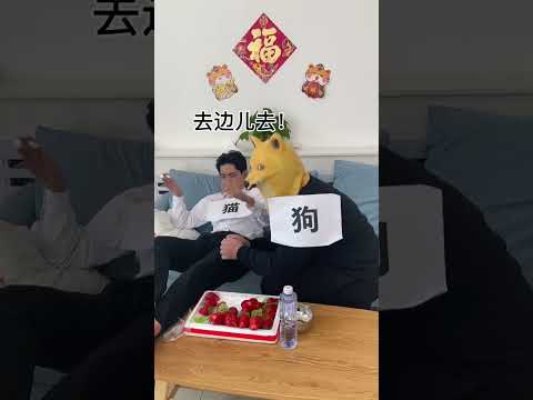 貓主子太傲嬌，空手就嫌棄，有魚還挑刺 #李宗恆 #搞笑 #內容過於真實 #劇情 #反轉 #熱門 #funny #shorts thumbnail