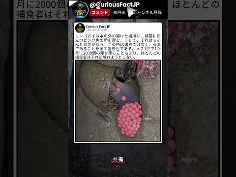 水辺にこれ大量についてるの見たことある？ thumbnail