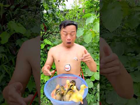 What message about kindness towards others do I want to convey through this humorous story??? thumbnail