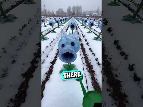These Plants Can Shoot Peas 😳 (@taplamnongdan91/TT) thumbnail