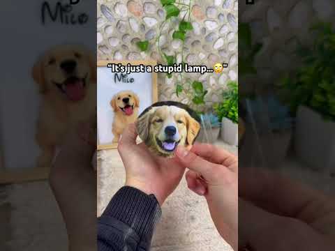 Wait for it and you will see it’s not ??    #pets #dogs #dogsoftiktok #dogloss #giftsideas thumbnail