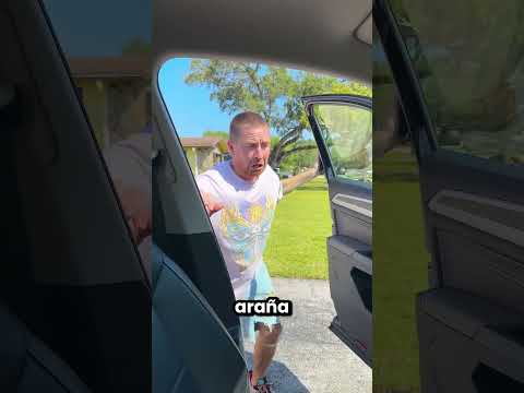 Hay Una Araña Dentro Del Coche ??️ thumbnail
