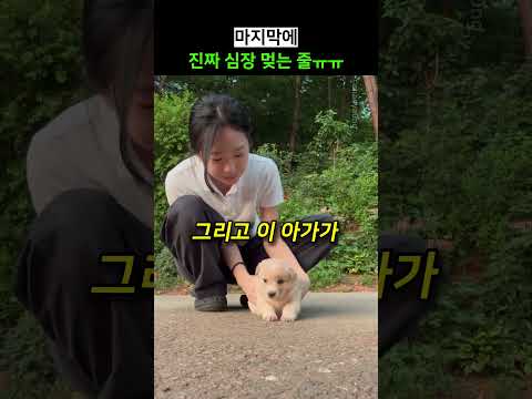 마지막에 진짜 심장 멎는 줄ㅠㅠ thumbnail