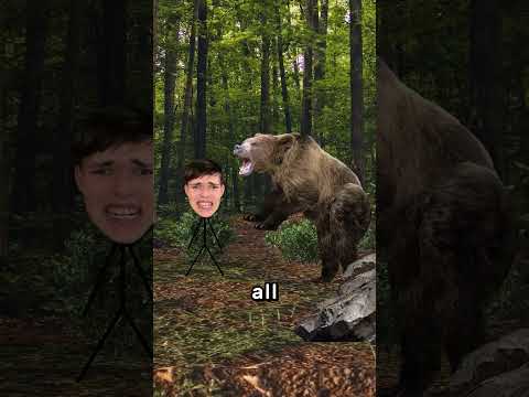 Survive a Bear Attack 🐻 thumbnail