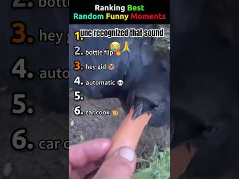 Ranking Best Random Funny Moments #best #funny thumbnail