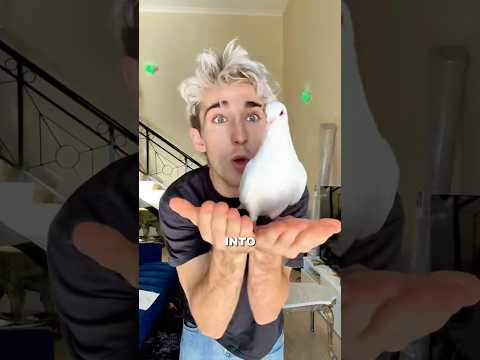 Easy Magic Trick Tutorial!😊 thumbnail