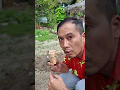 Bạn Dám Ăn Cây Kem Đáng Sợ #haongchu thumbnail