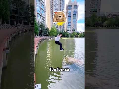 พ่อ อย่ากระโดดไปที่โขดหิน thumbnail