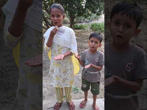 पापा ने चिड़ियों के बच्चों को खिलाया खाना ??? #shorts #bird #emotional #help #papa thumbnail