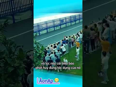 Được lắm anh trai 😁 #laonap thumbnail