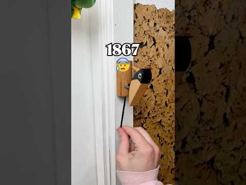 From Old Doorbell to ALIVE...💀🚽 thumbnail
