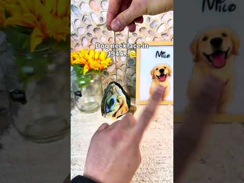 The number 4 really got me ?❤️ #dogloss #pets #giftideas #dogs #dogsoftiktok thumbnail