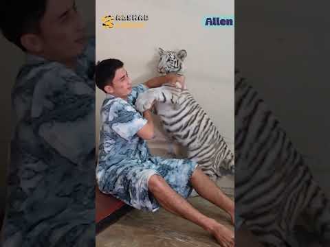 TANDA SAYANG SELEN KE ALSHAD DARI KECIL SAMPAI SEKARANG! YANG TERAKHIR TERMASUK "KDRT" GA SIH?! thumbnail
