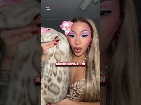 Anneni ikna ettin kedi geliyor thumbnail