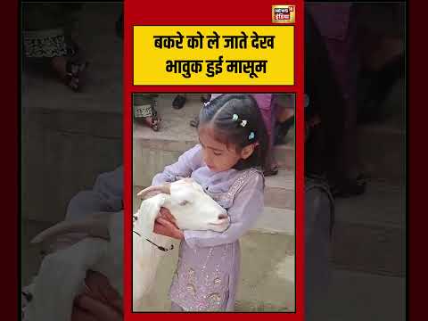 Bakrid : बकरे को ले जाते देख भावुक हुई मासूम | #bakraid #eid #shorts thumbnail