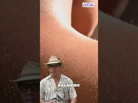 Mga mammals, nagkakaroon din pala ng goosebumps? | Dami Mong Alam, Kuya Kim! thumbnail