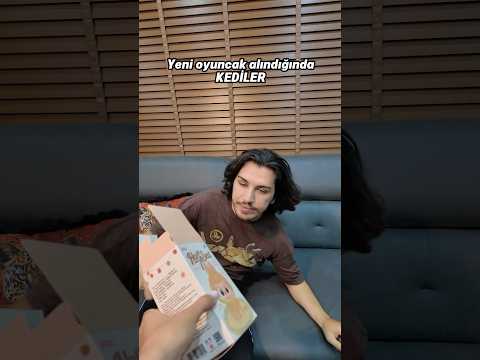 Kedilerin egosu peki? 😂 thumbnail