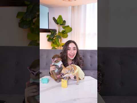 اخدت نوغا وردة يلعبو العاب العيد thumbnail